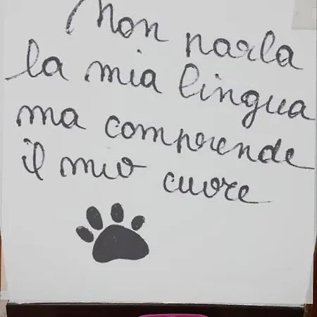 Casa Clelia
